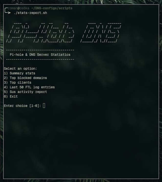 DNS Statistics